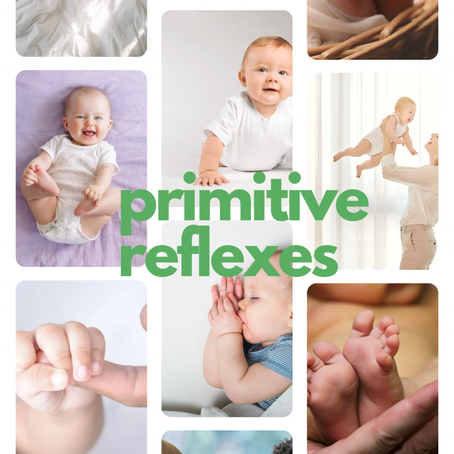 primitive-reflexes-the-basics