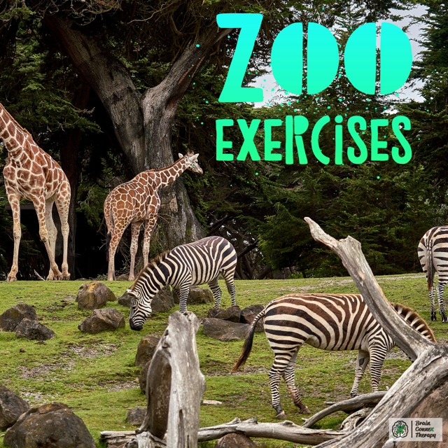 ZOO EXERCISES